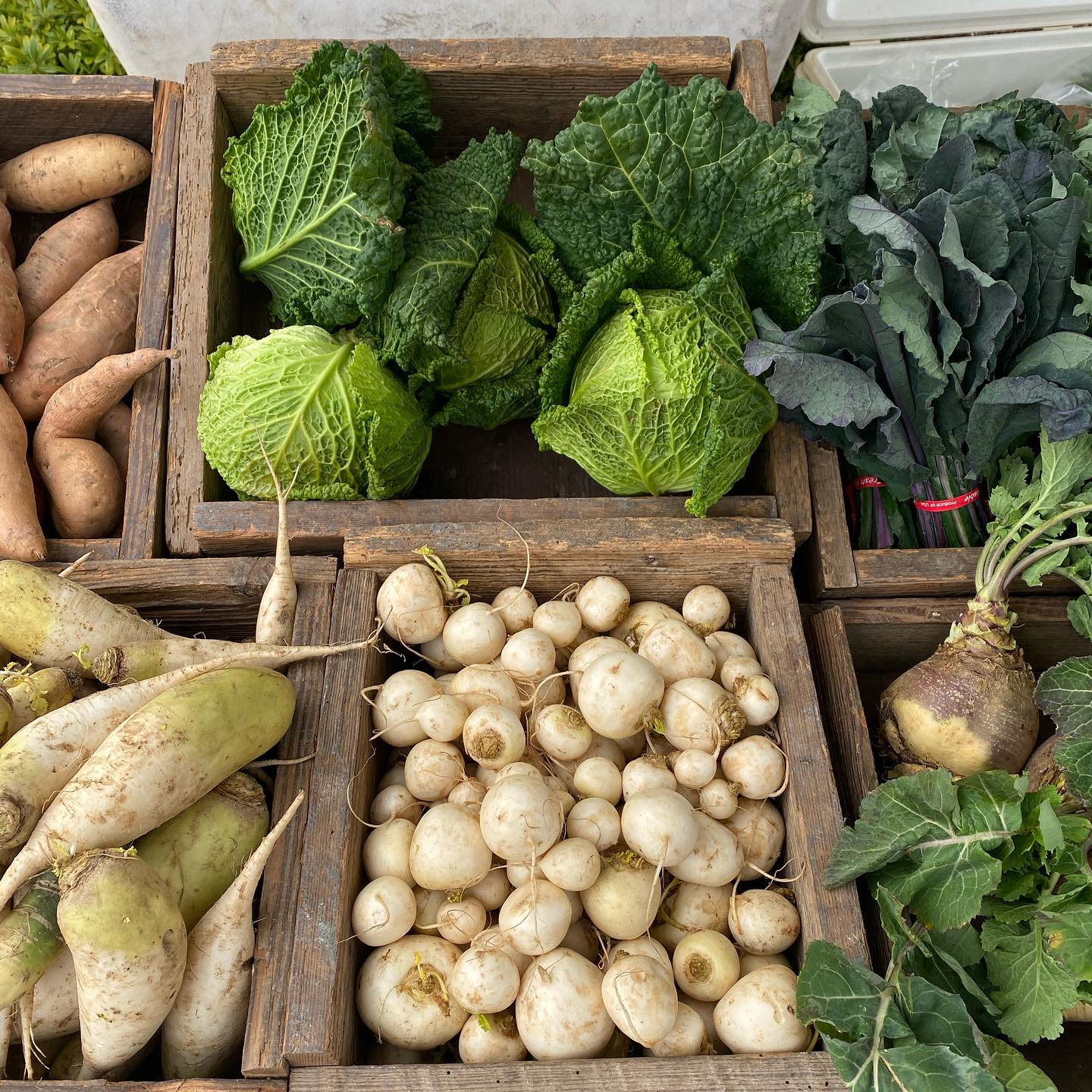 Produce from Birdsong farmers market in Birmingham