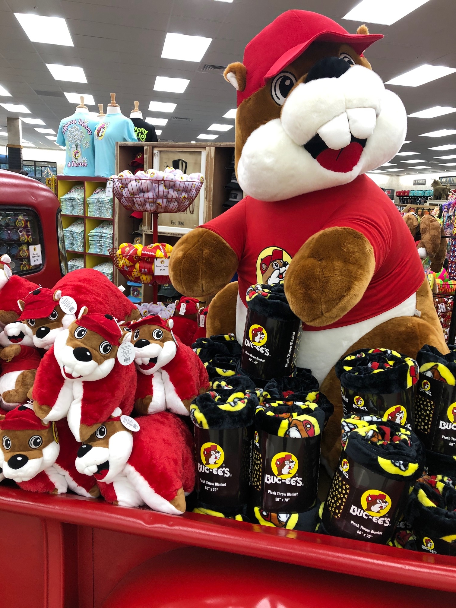 buc ee's beaver plush