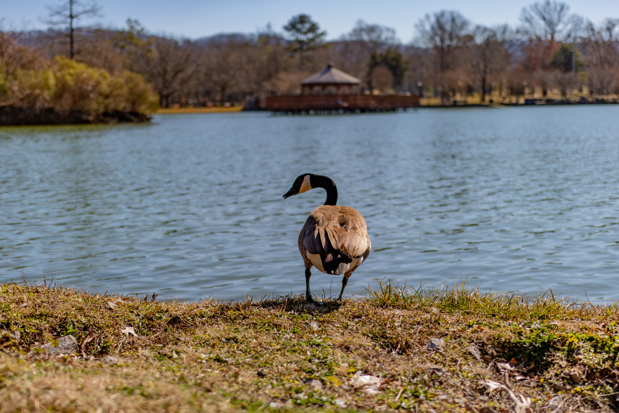 East Lake Park 6 Looking for a new place to frolic? 7 parks in Birmingham you need to visit