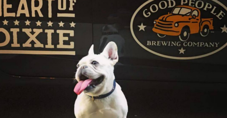 Smiling dog at Good People Brewing Company outdoor dining in Birmingham