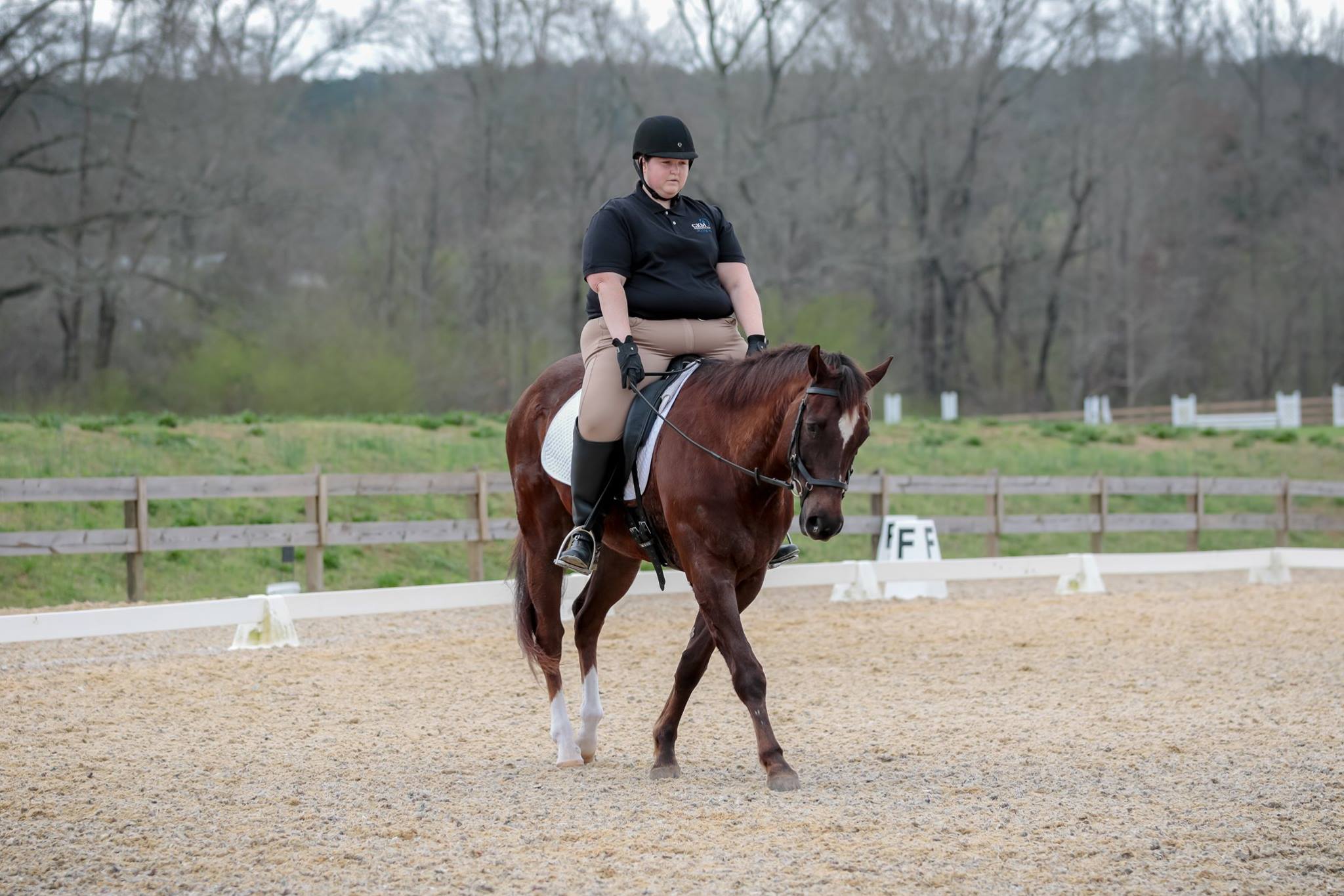 Explore These 5 Horseback Riding Stables In Birmingham LaptrinhX News