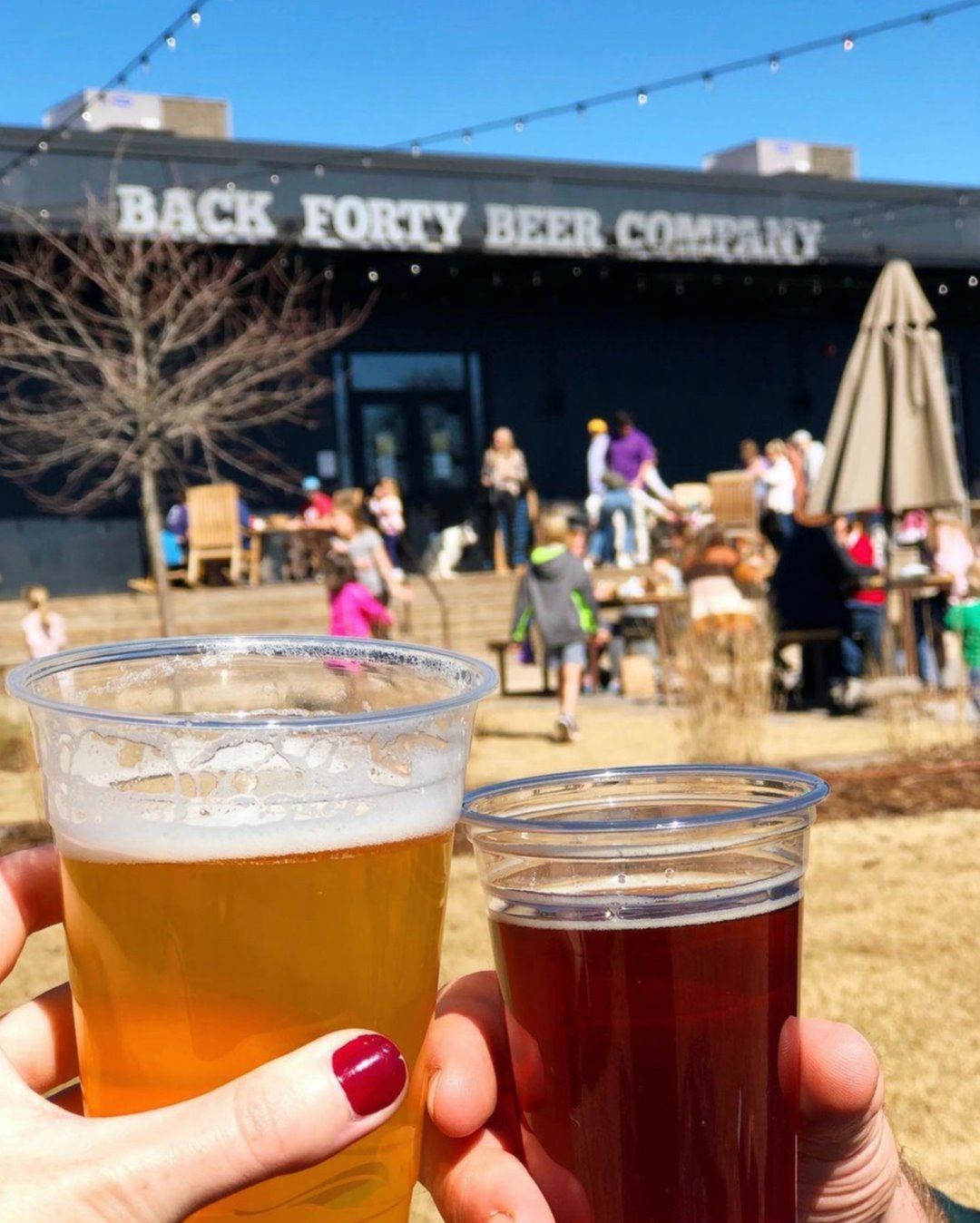 Two cups of beer at Back Forty Beer Co. - St. Patrick's Day in Birmingham