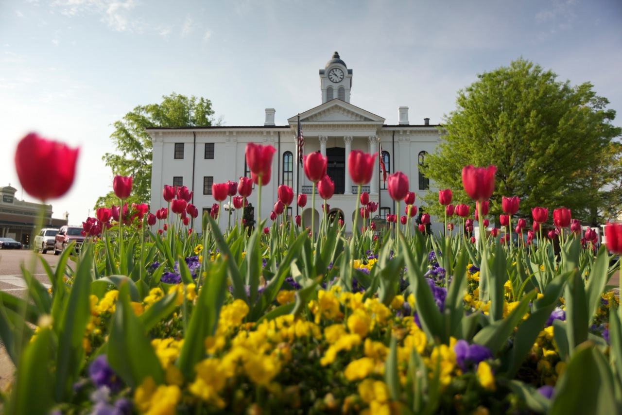Uncategorized Oxford Mississippi