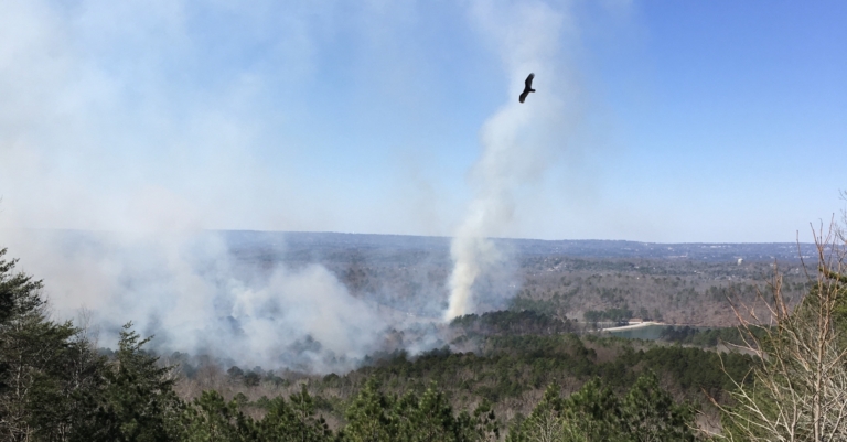 Did you see the “good fire” on Oak Mountain?