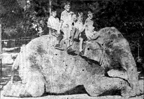 Old photo of Miss Fancy giving a children a ride on her back
