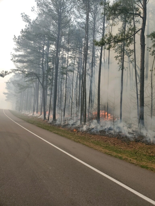 Did you see the “good fire” on Oak Mountain? 2 Oak Mountain fire