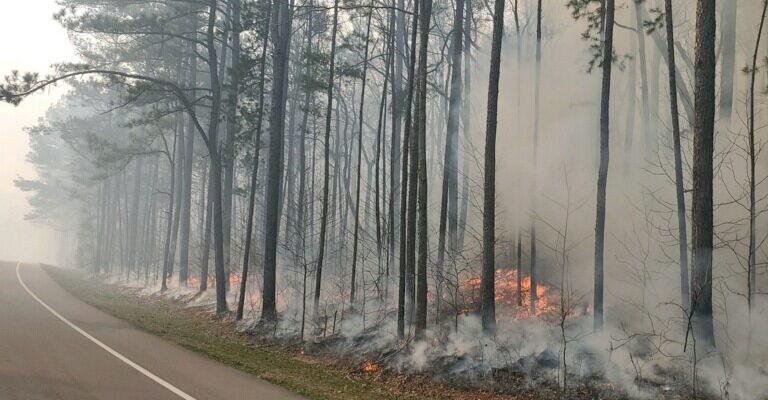 Prescribed fire at Oak Mountain State Park: What you need to know