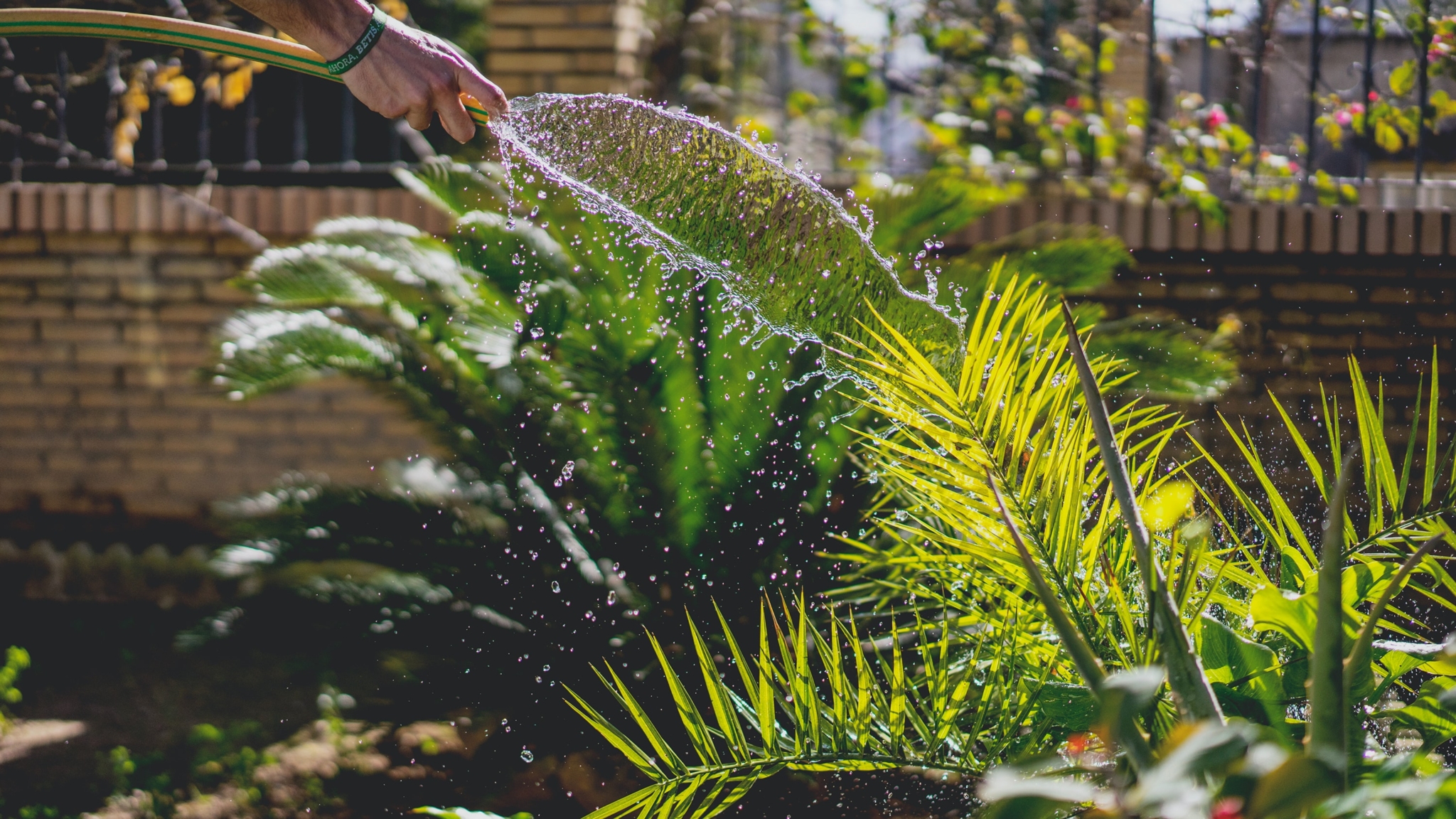 Save cash + water during Birmingham Water Works' Fix-A-Leak Week from Mar.15-21 2 irene davila O1PHdGGcljQ unsplash Save cash + water during Birmingham Water Works' Fix-A-Leak Week from Mar.15-21