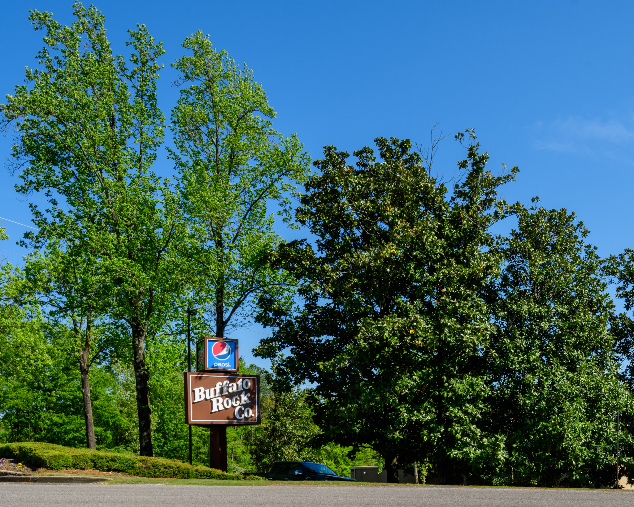 Birmingham turns 150 this year. Here are 5 of its oldest stores you should know 7 buffalo rock