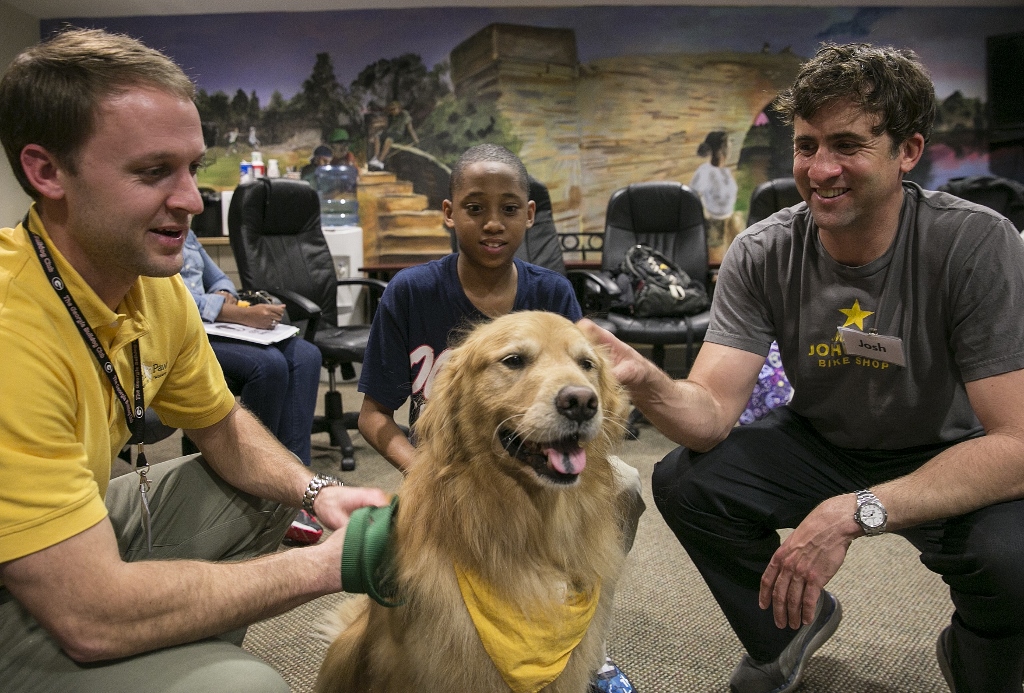HIP 023 1024x693 1 Everything you should know about therapy and service dogs