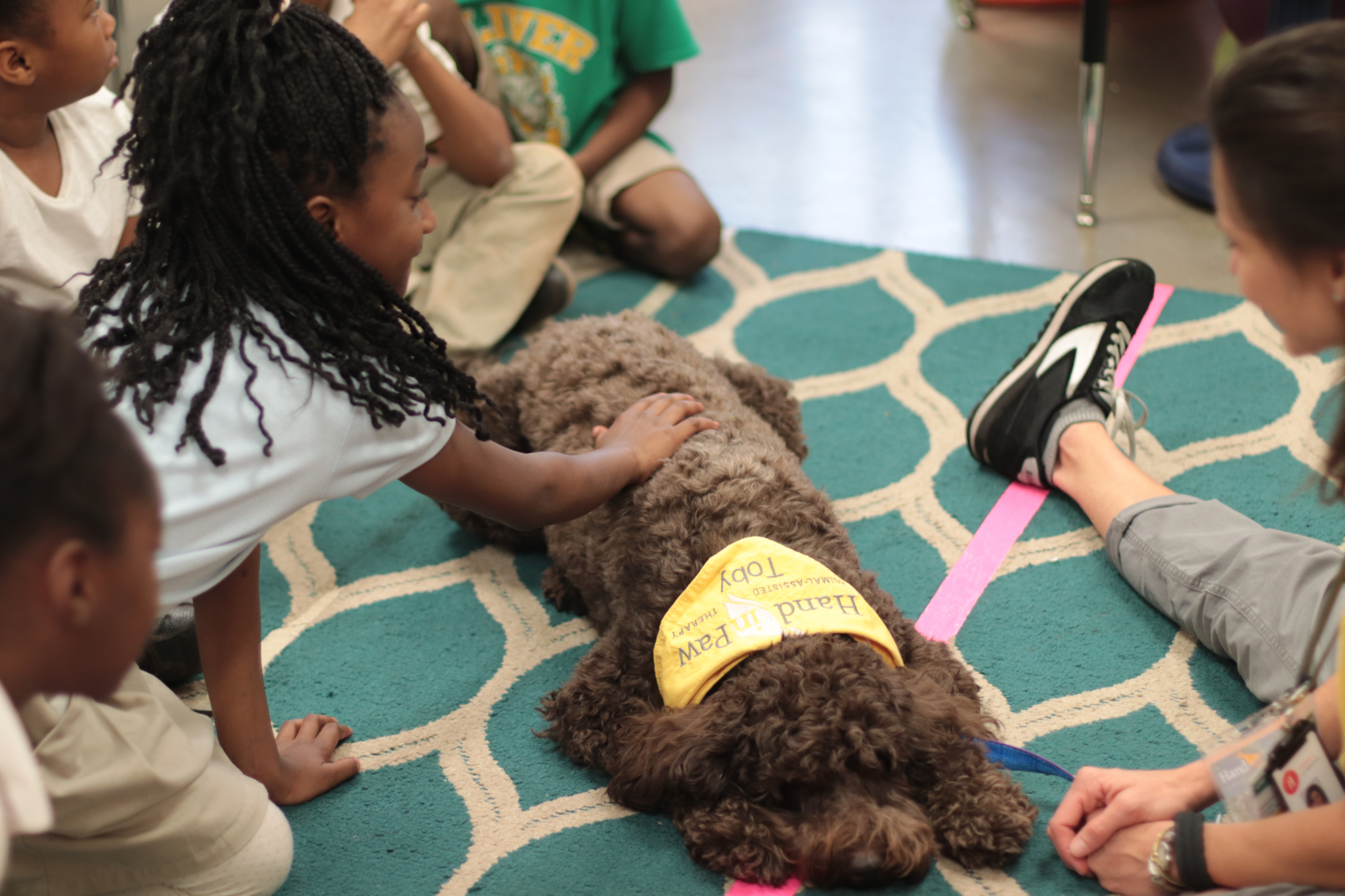 Everything you should know about therapy and service dogs 1 hand in paw