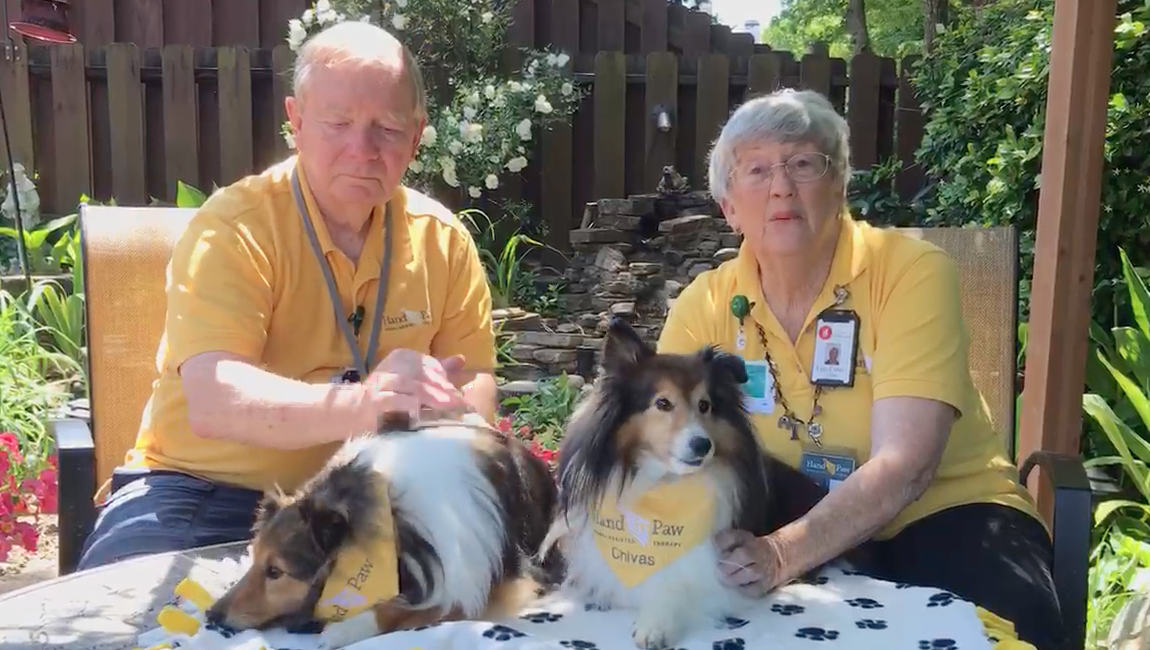 Everything you should know about therapy and service dogs 7 Screen Shot 2020 06 29 at 11.50.19 AM Everything you should know about therapy and service dogs