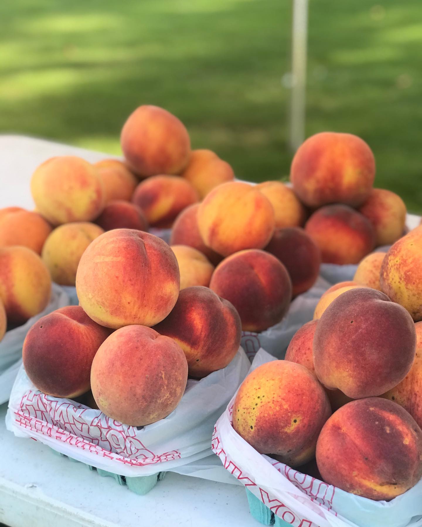 Beautiful peaches at farmers market