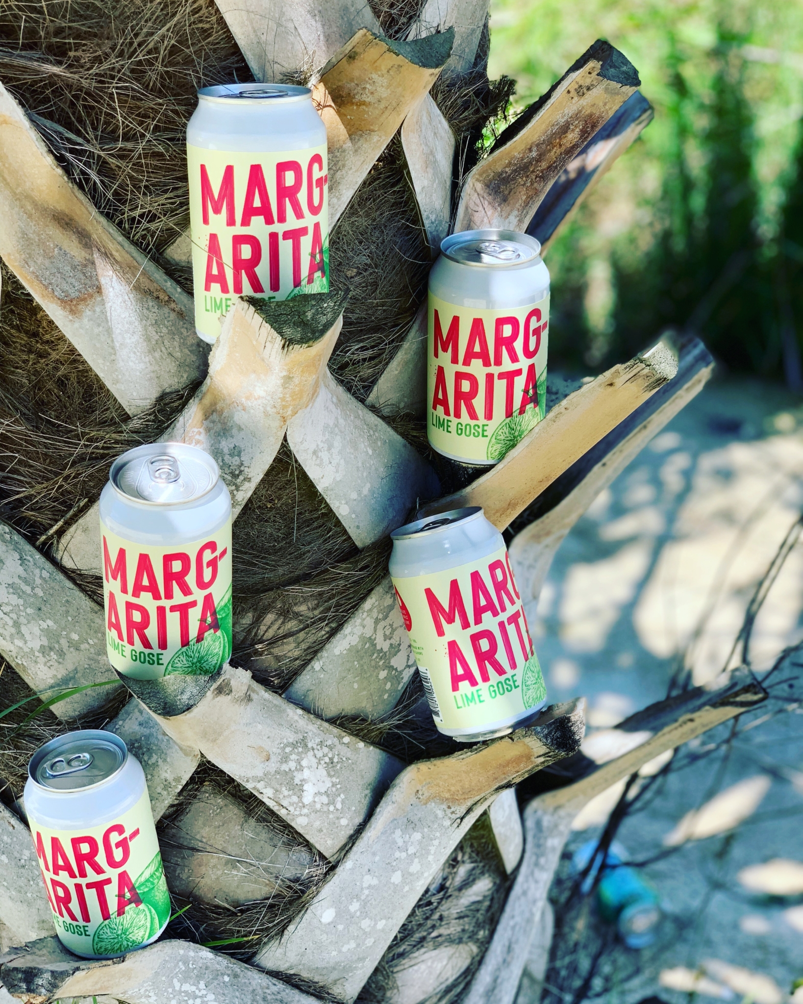 cans of TrimTab Brewing's Margarita Lime Gose balanced on a palm tree trunk