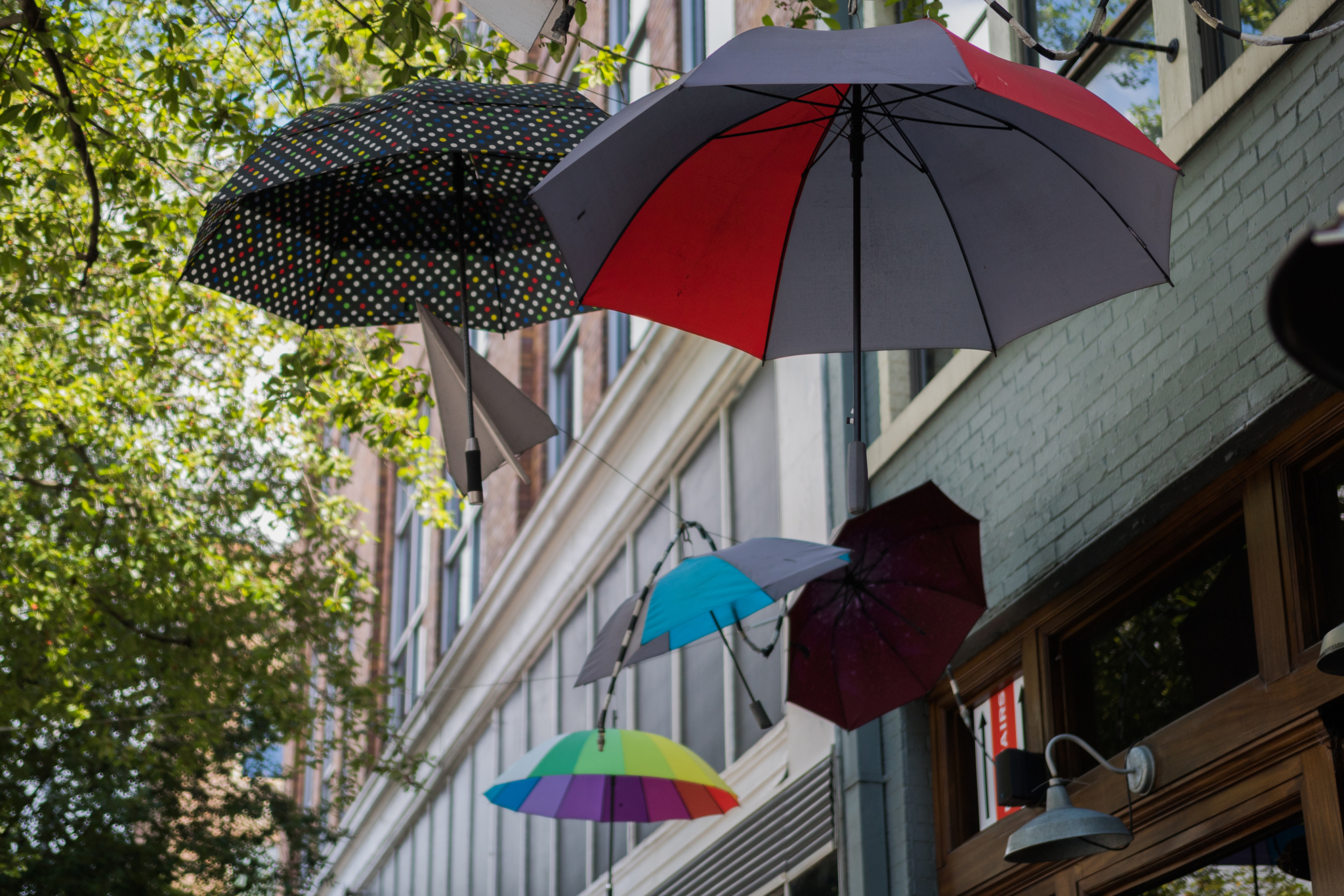 umbrellas outside The Collins