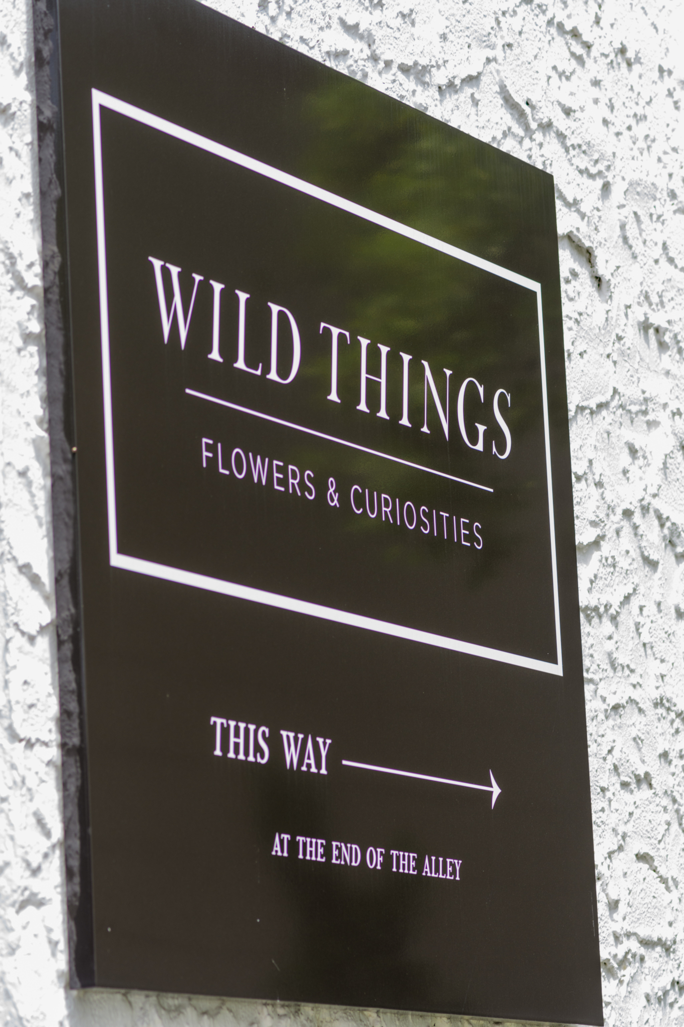 WildThings 20210413 134414 [PHOTOS] Flower power: 7 shops to get your next orchids