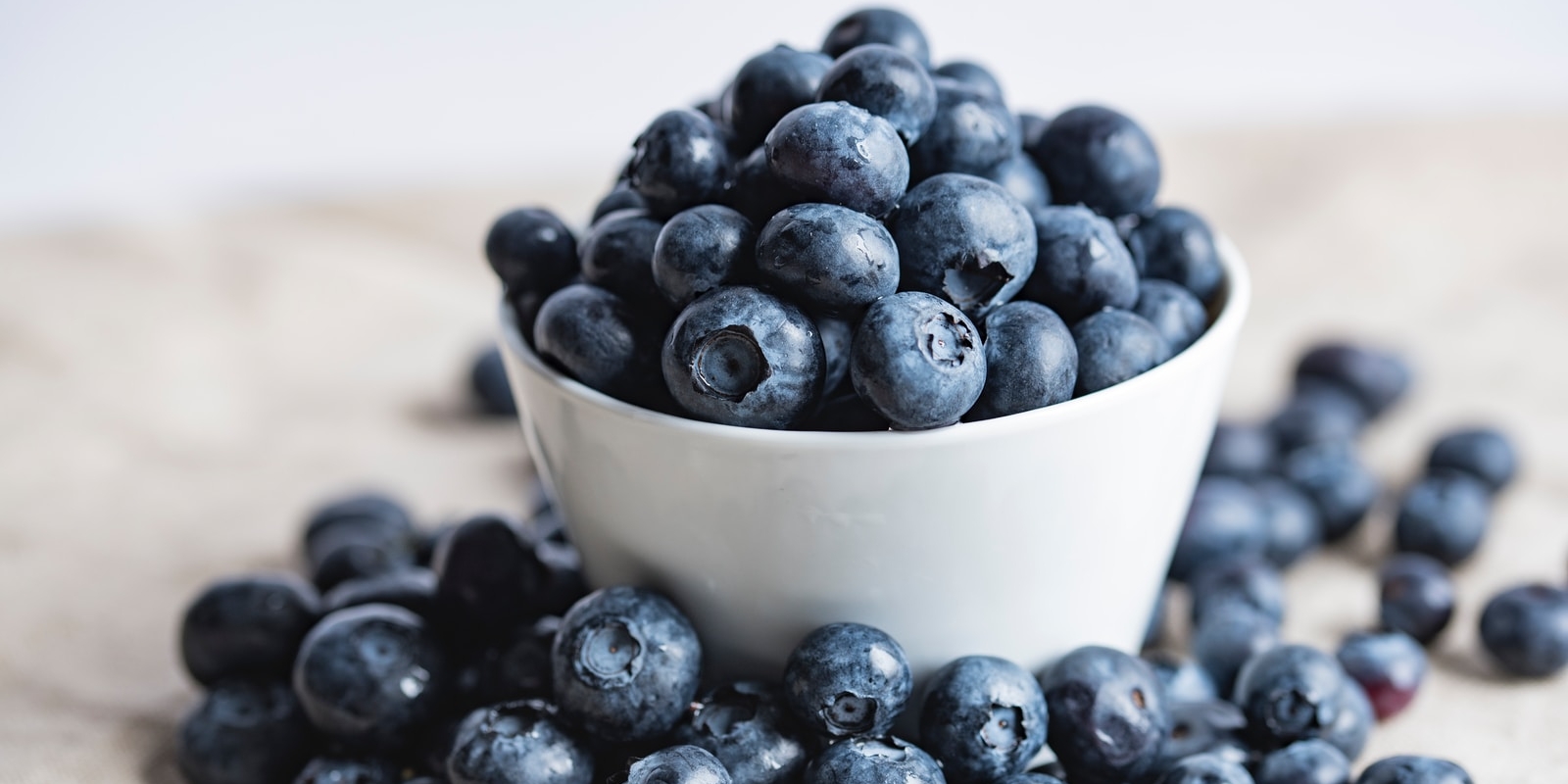 Find fresh blueberries this summer at these 4 u-pick farms close to Birmingham 1 blueberries on white ceramic container, u-pick blueberry farms
