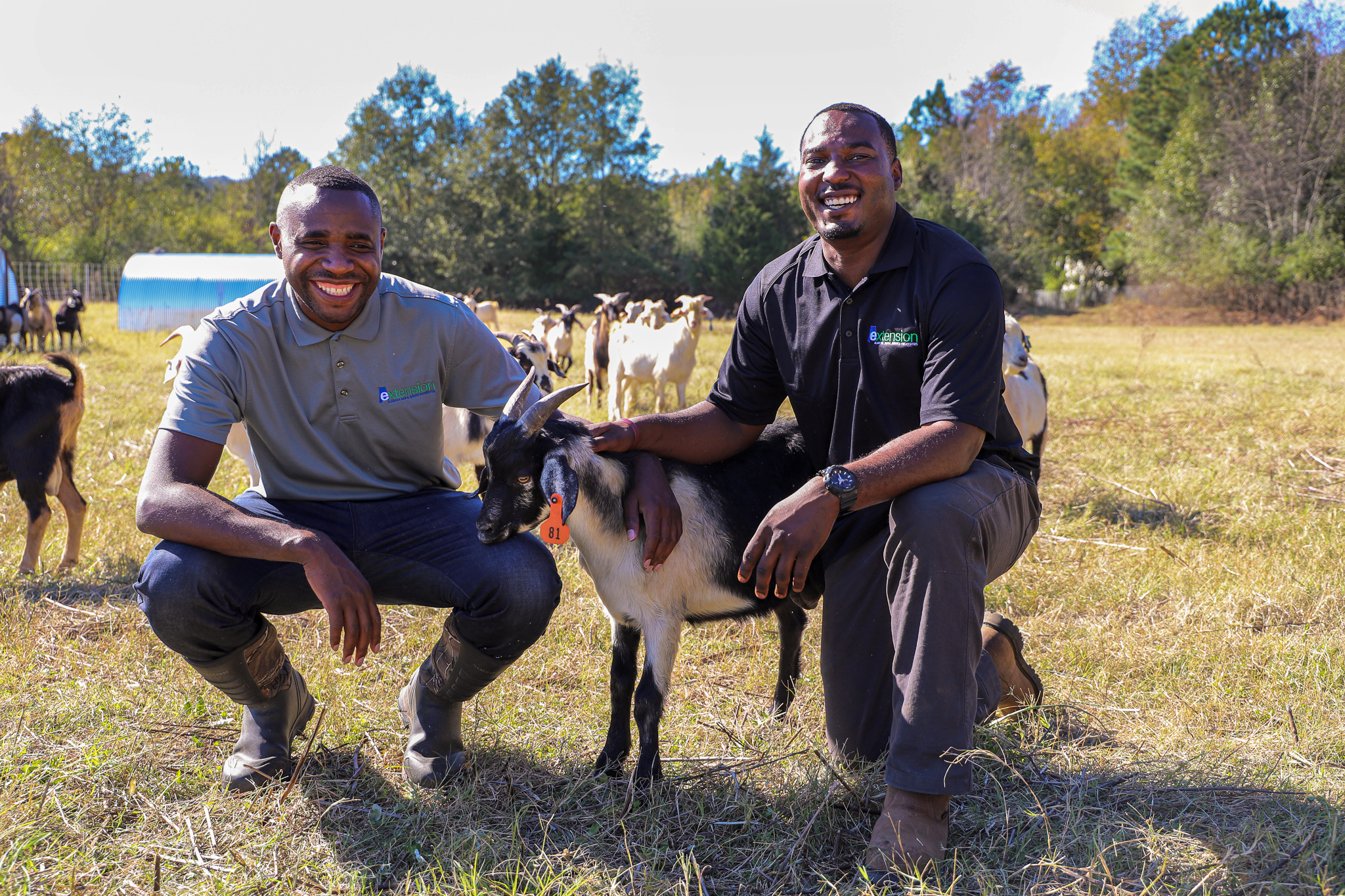 The Piggy Bank Project - Alabama Cooperative Extension System