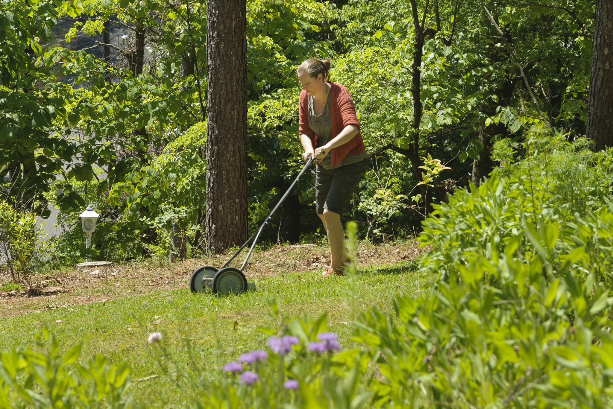 7 ways to replace your lawn in Birmingham with something more beautiful