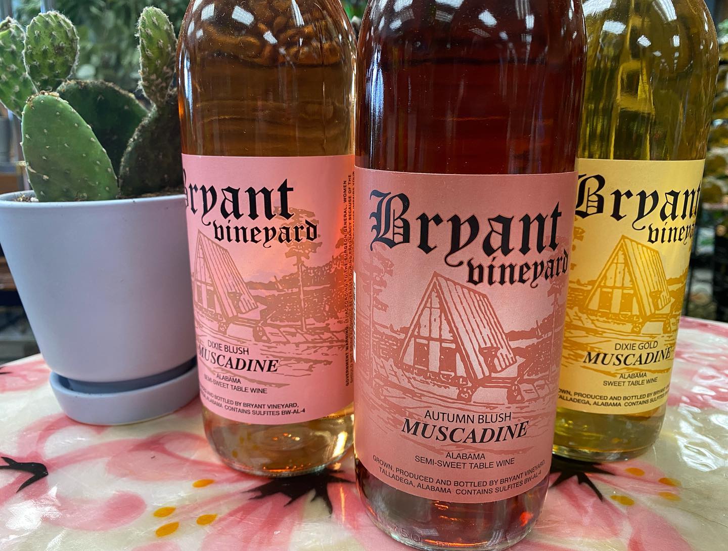 Wine + plants is a good combo in our book.