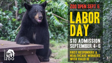 LABOR DAY 2021 TV e1627936800188 LjahLD.tmp Labor Day at the Zoo : First Responder & Healthcare Worker Discount Days