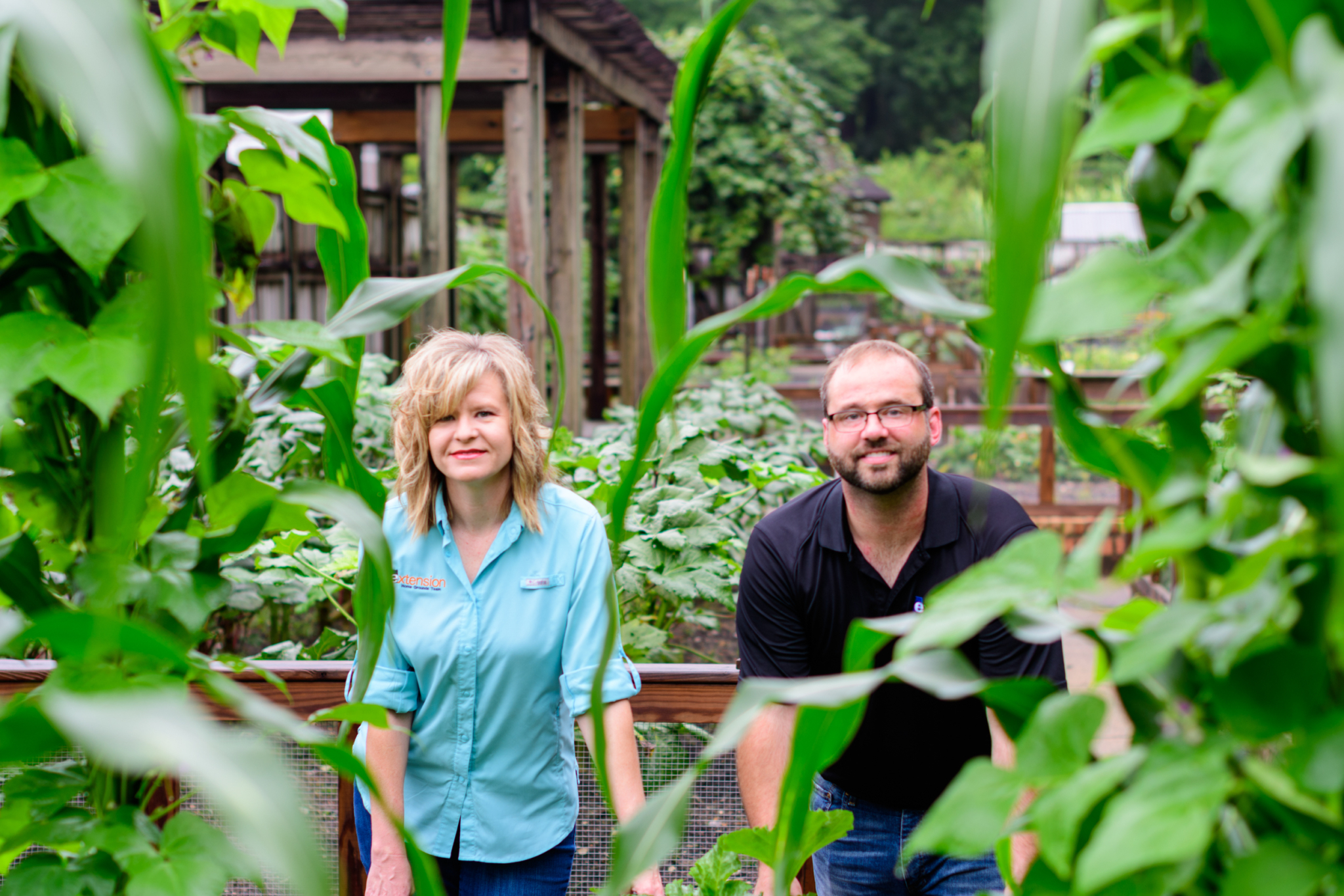 7 steps to start your fall garden now, with help from Alabama Extension