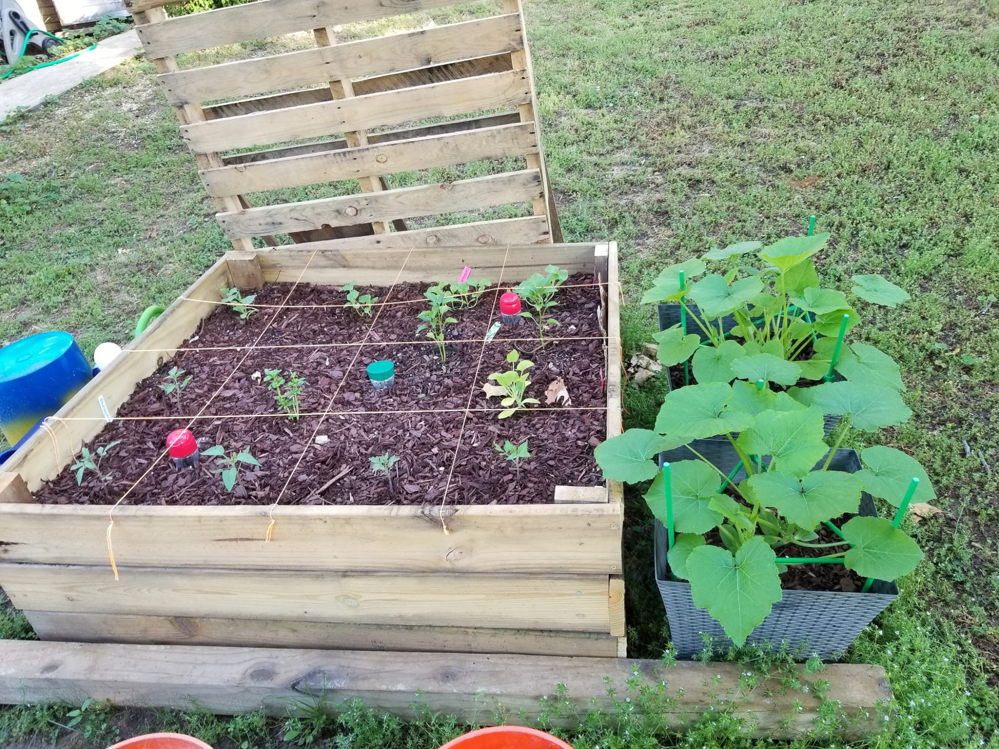 7 steps to start your fall garden now, with help from Alabama Extension 4 garden starts