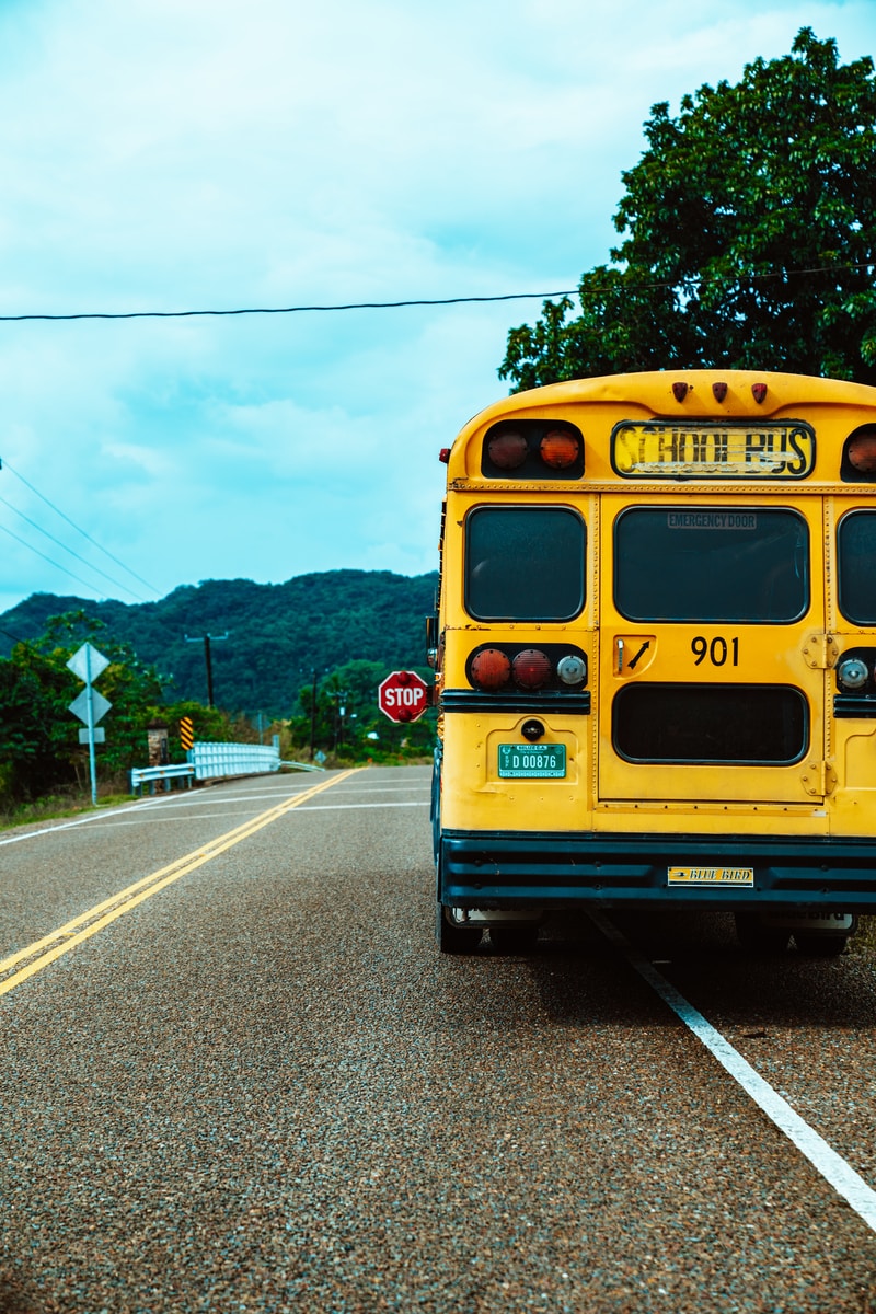Back to school? This local health expert answers your important questions 6 school bus