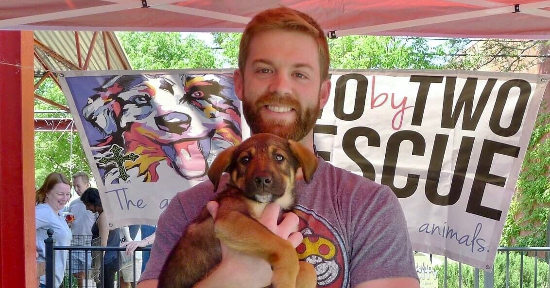 How to help homeless animals by donating to these Birmingham shelters 5 Barktoberfest// birmingham shelters