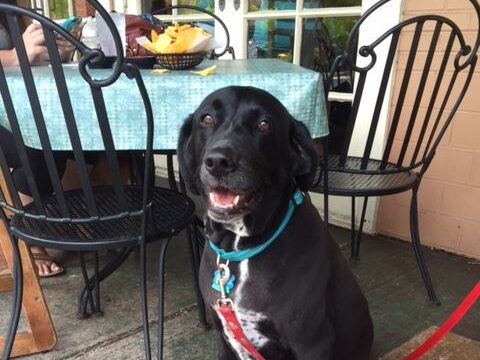 Say cheese—5 places to find the best queso in Birmingham 6 Outdoor dining in Birmingham at La Paz