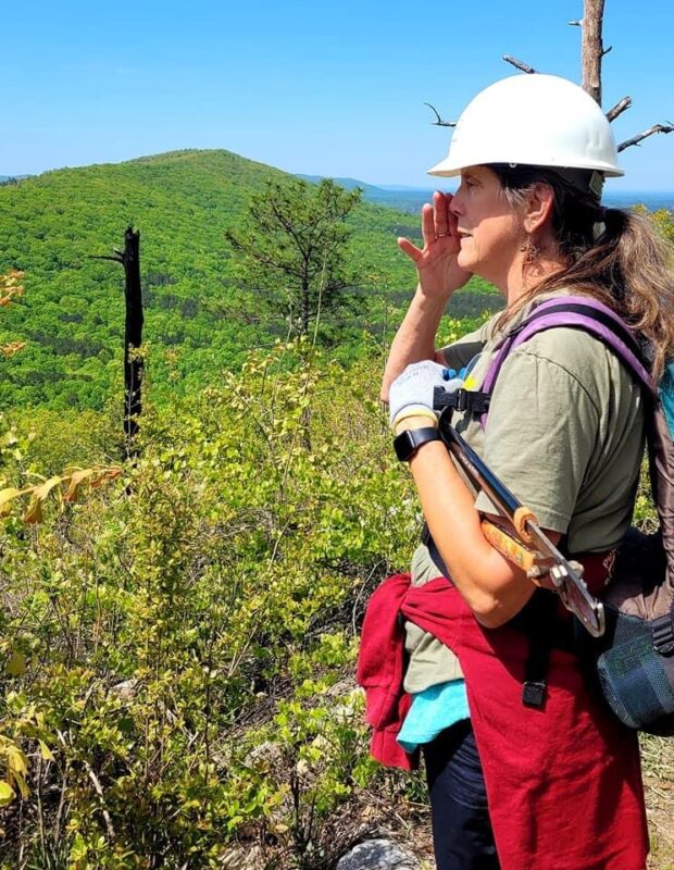 Forests, birds and composting—Ways to save the Earth in Alabama this Fall 2021—Part 3 5 Wild Alabama