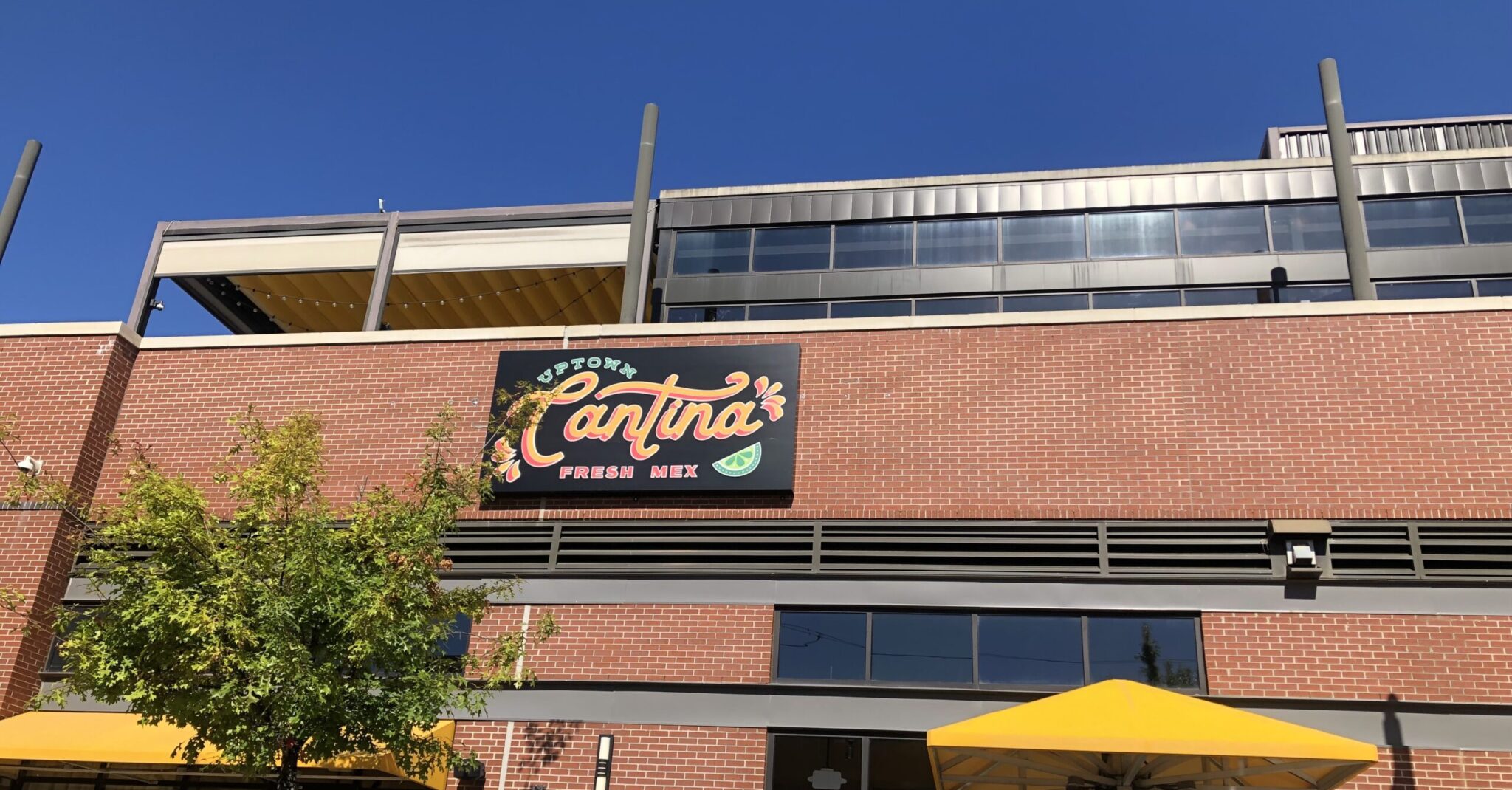 BOCCA, Uptown Cantina, Yo Chef Surf + Turf earn 95+ food service scores BOCCA, Uptown Cantina, Yo Chef Surf + Turf earn 95+ food service scores