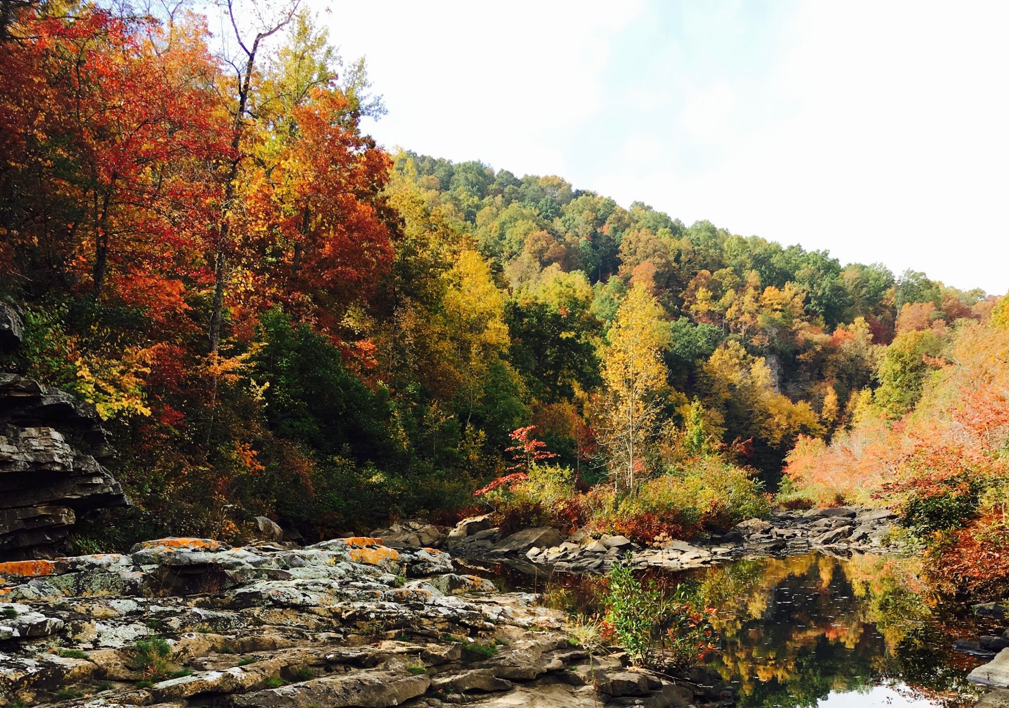 It’s National Hiking Day—here are your picks on the best hiking spots in Birmingham