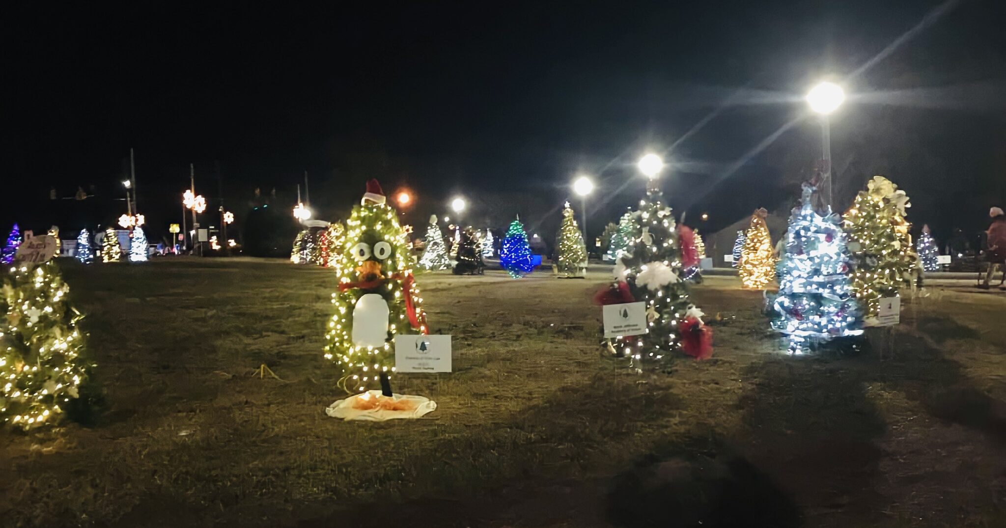 Gardendale’s inaugural Christmas Tree Trail is raising money for charity