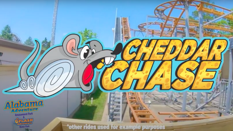 Cheddar Chase