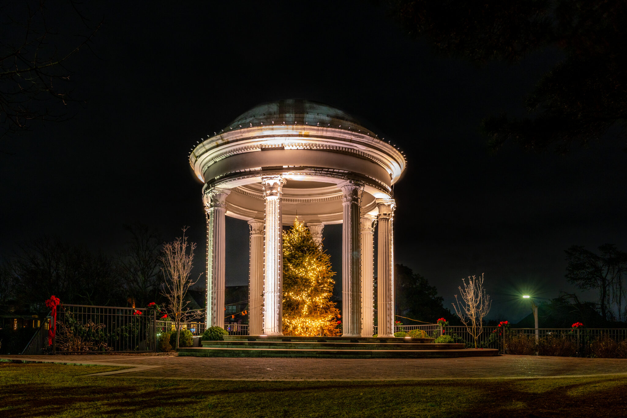 5 places to spot spectacular Christmas trees in Birmingham [Photos + Video]