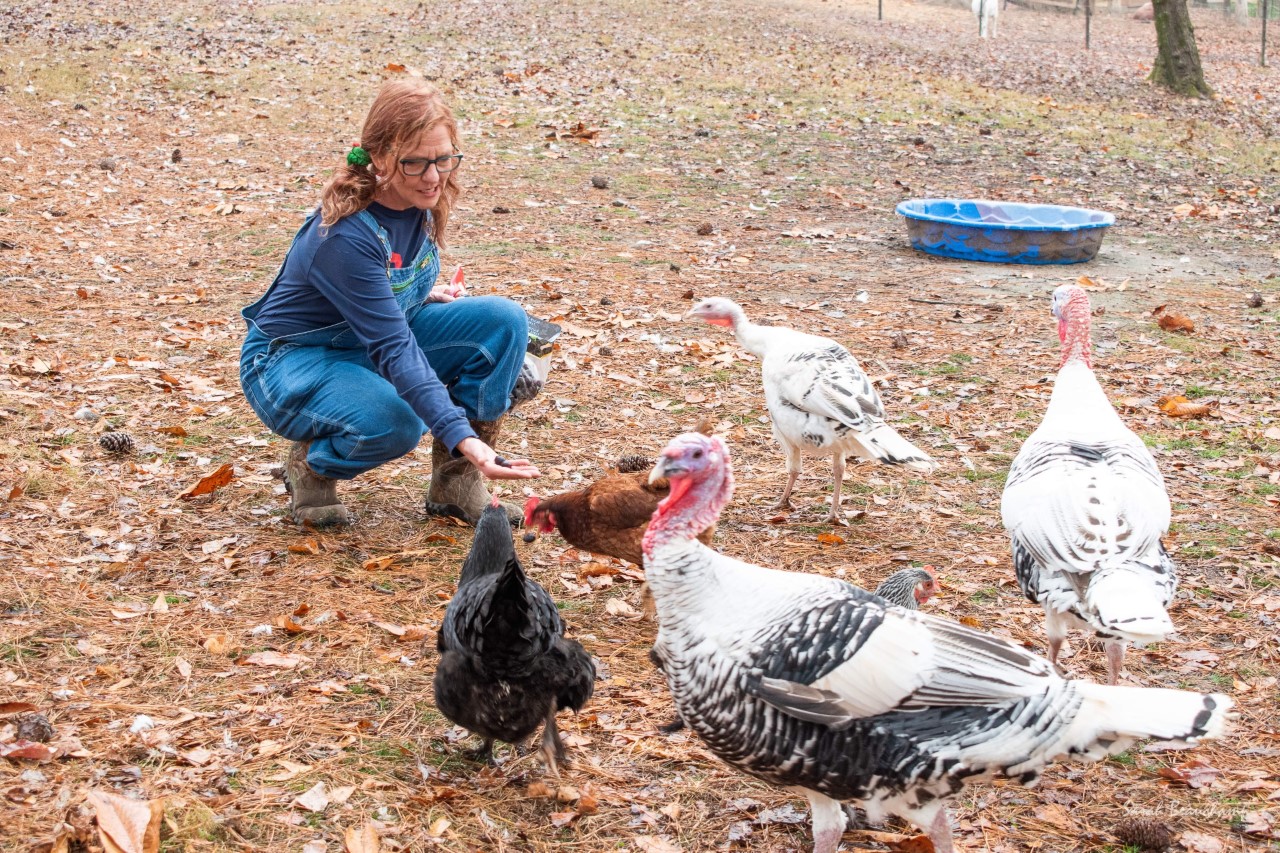 How a chicken changed everything for Judy Snead—founder of Snead’s Farmhouse