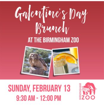 Galentines Day Brunch min scaled e1643134780772 Galentine’s Day Brunch