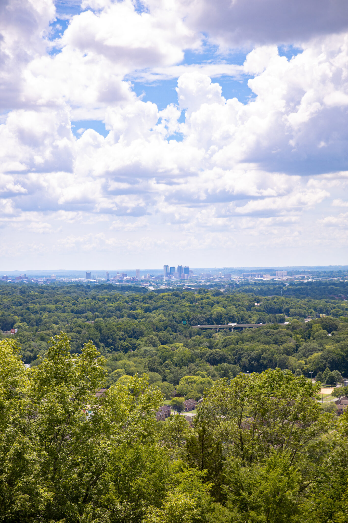 Ruffner Mountain 6 The early bird's guide to Birmingham—find out what's open before 7AM