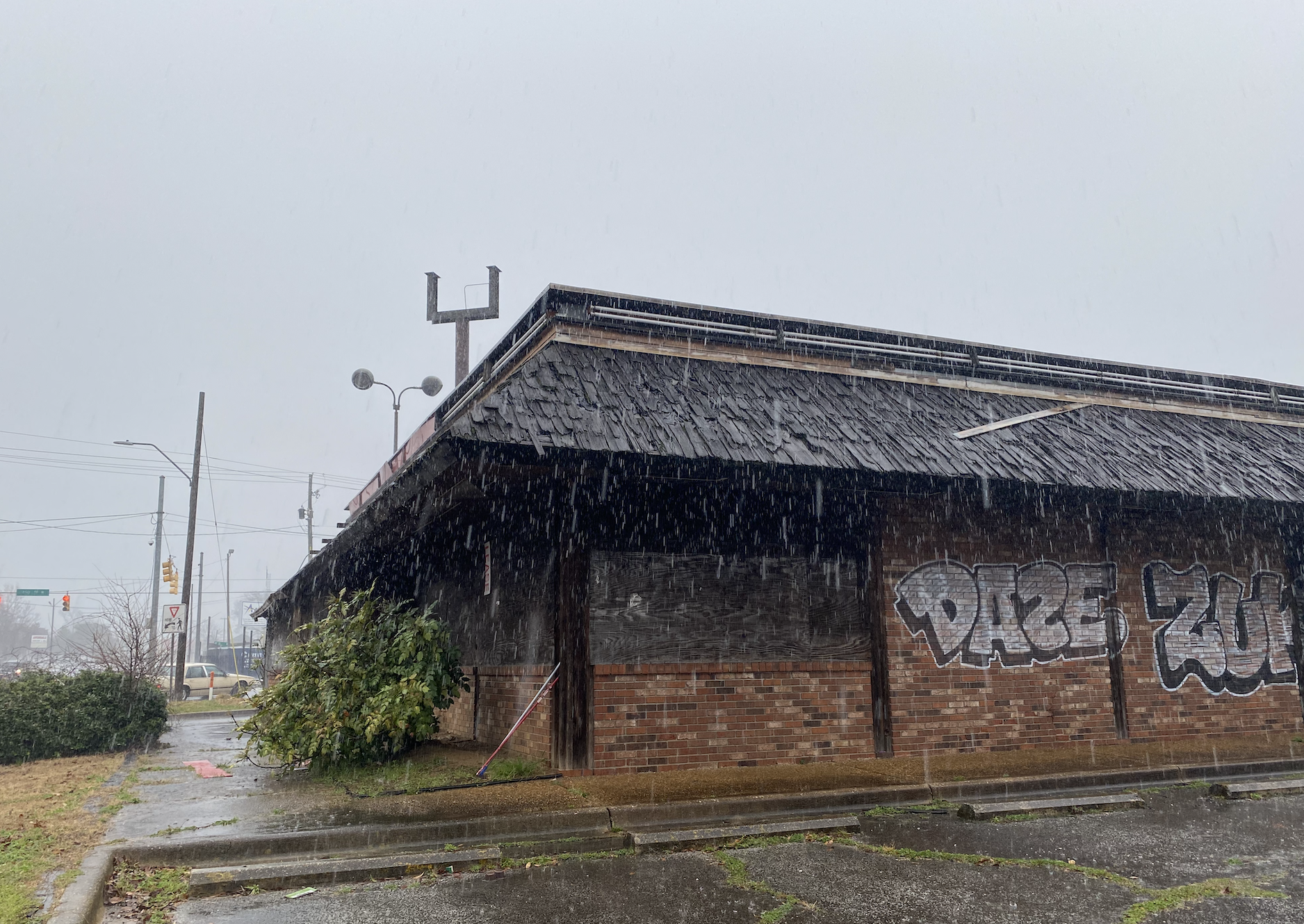 New Avondale pizza spot + 4 more delicious new openings that you don't want to miss 4 new openings