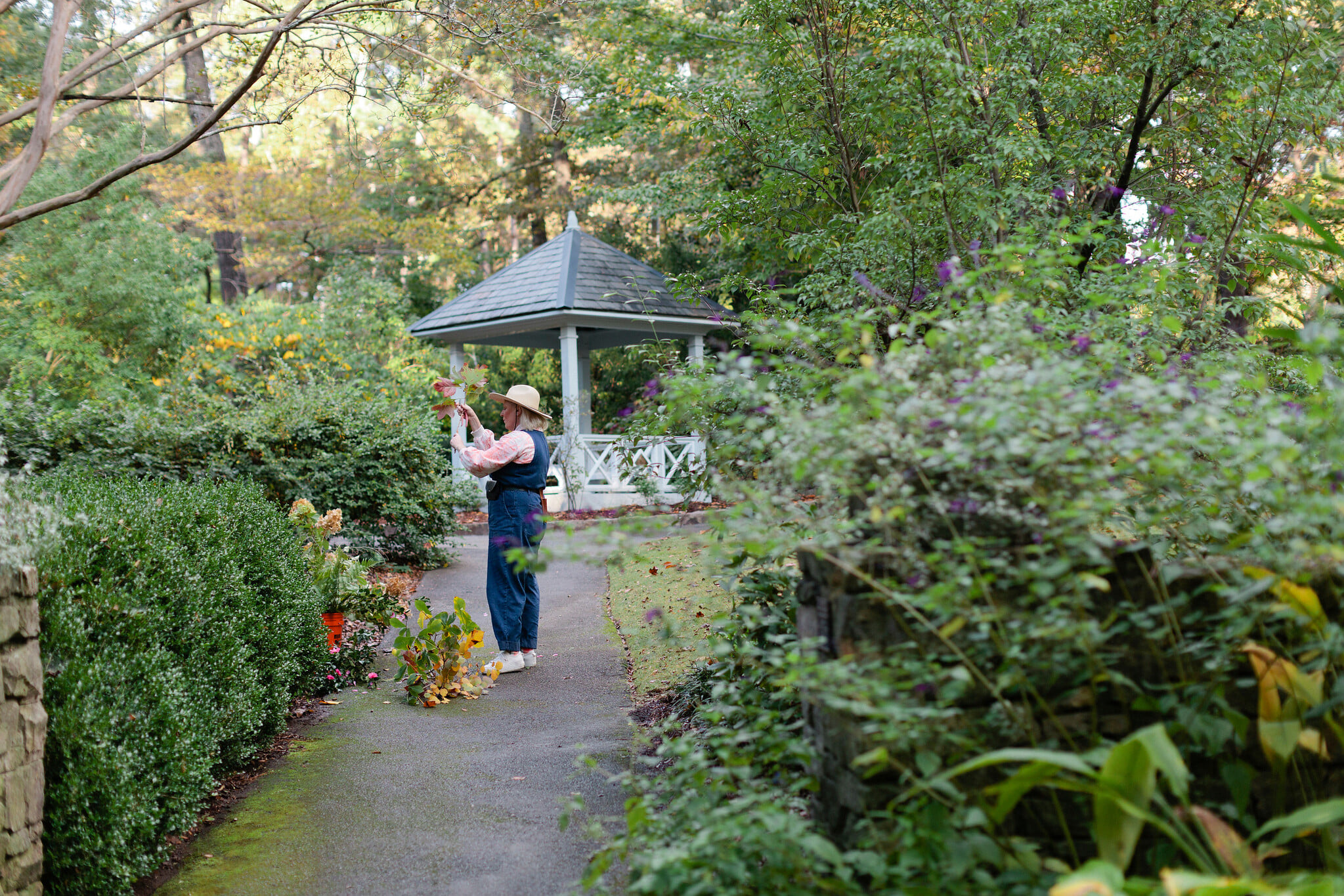 Your ultimate guide to 17 Birmingham walking and hiking spots 12 birmingham botanical gardens