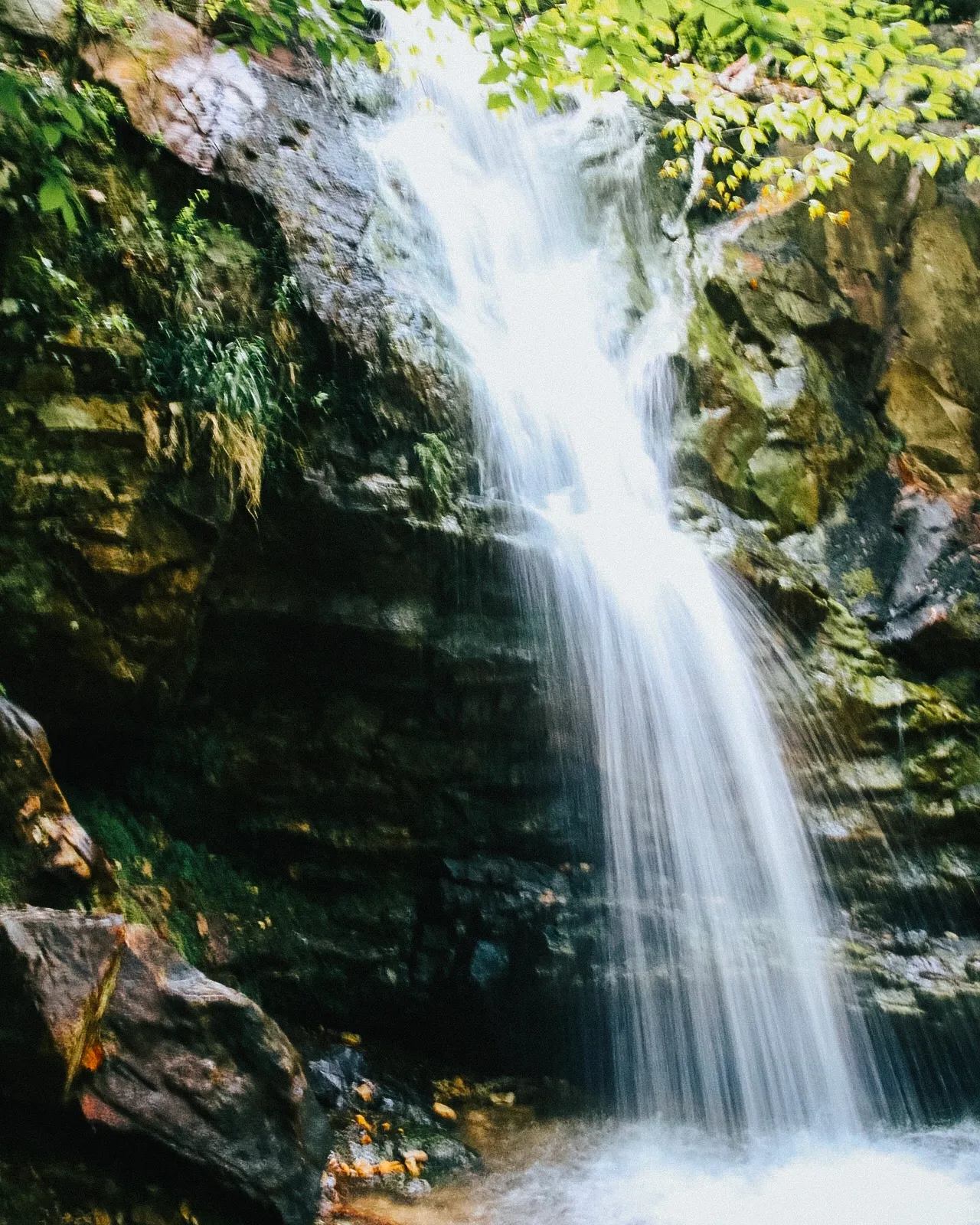 Your ultimate guide to 17 Birmingham walking and hiking spots 5 birmingham hiking and walking trails