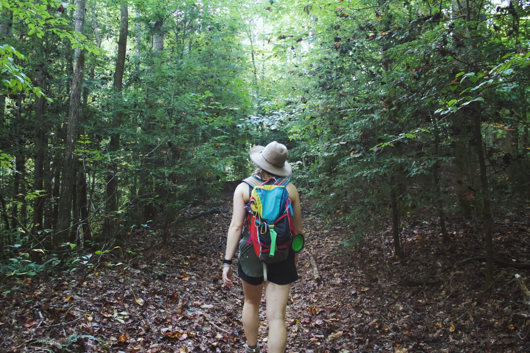 Your ultimate guide to 17 Birmingham walking and hiking spots