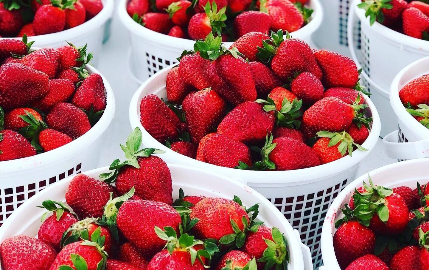 10 markets in Birmingham to attend—including Strawberry Day + Mom’s Vintage Market 10 markets in Birmingham to attend—including Strawberry Day + Mom’s Vintage Market