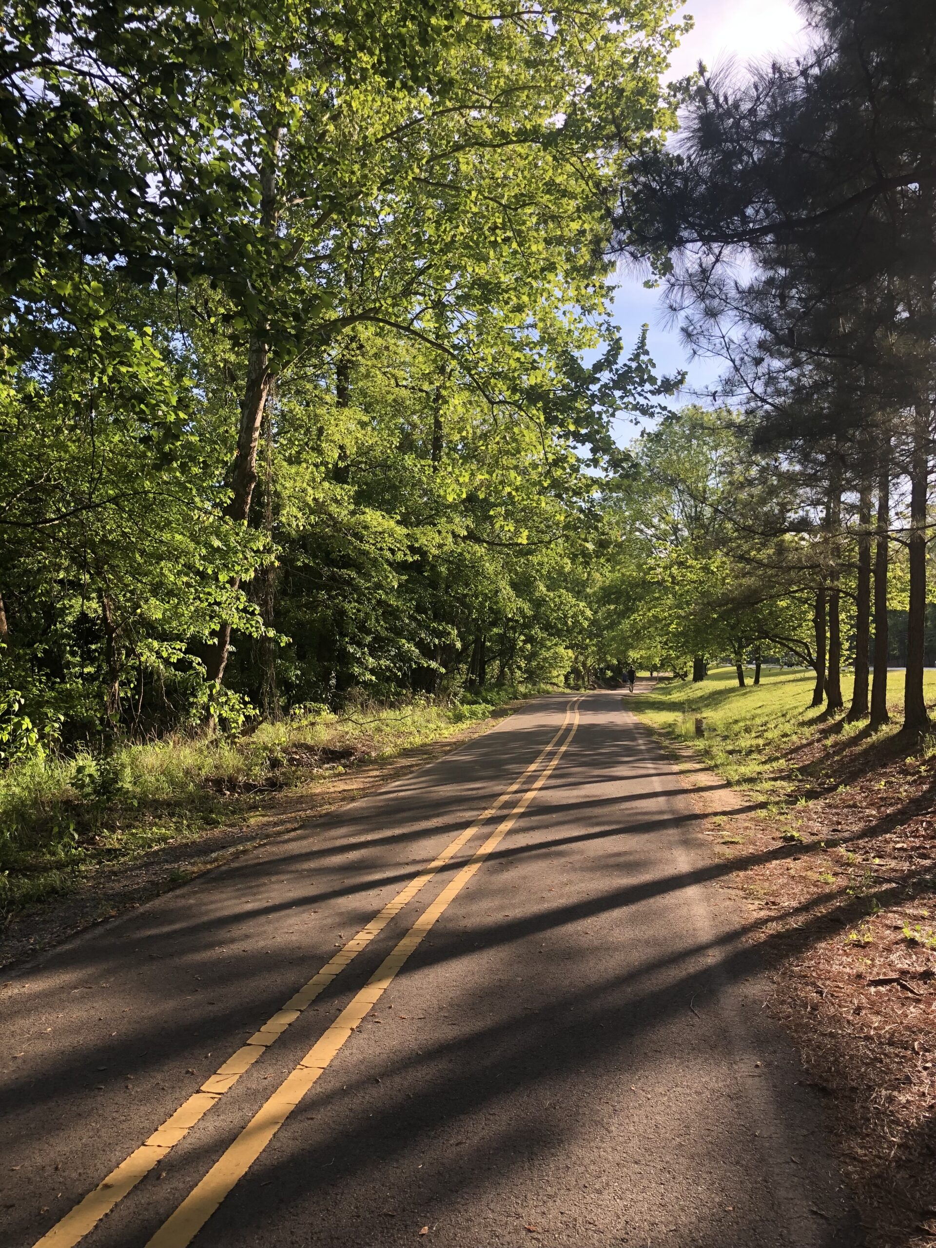 Your ultimate guide to 17 Birmingham walking and hiking spots 21 birmingham walking trail