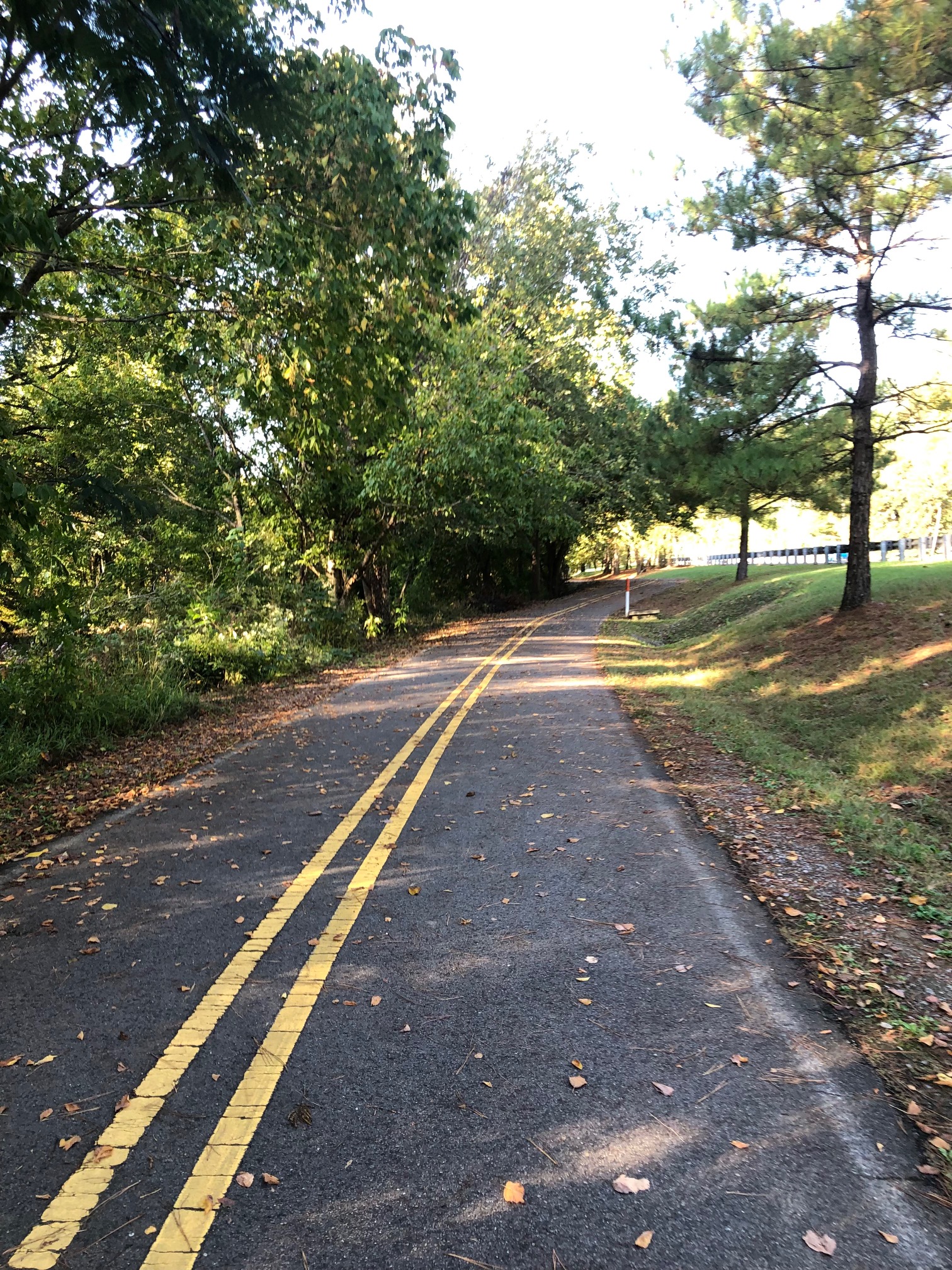 Your ultimate guide to 17 Birmingham walking and hiking spots 22 birmingham walking trail