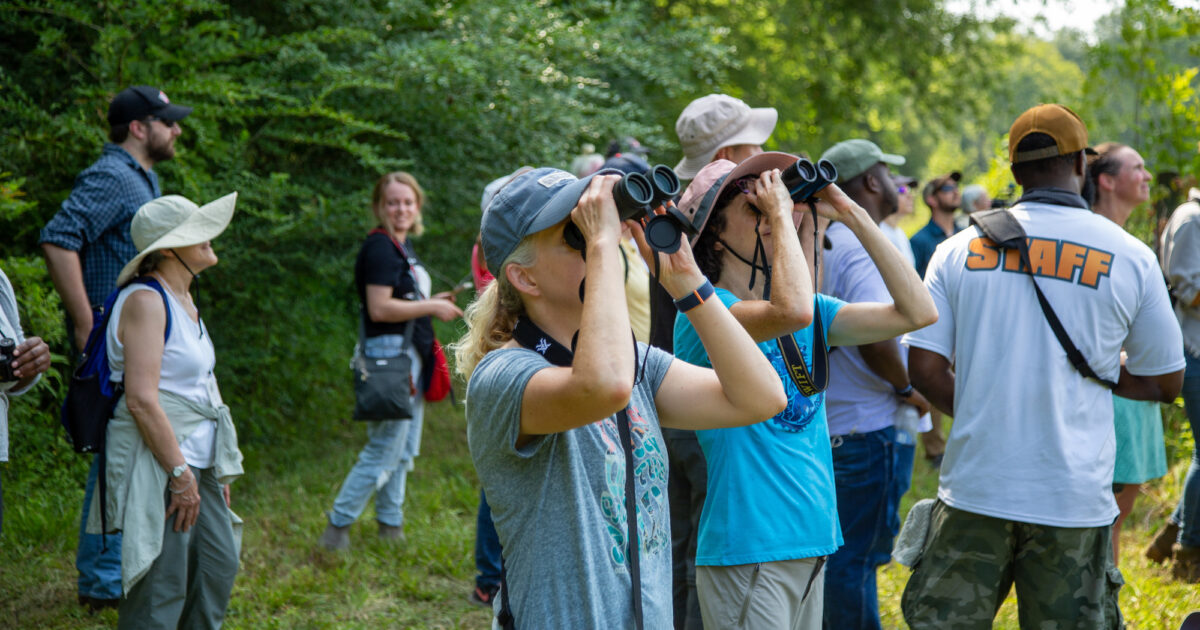 How you can get involved in wildlife watching +  nature education efforts in Alabama