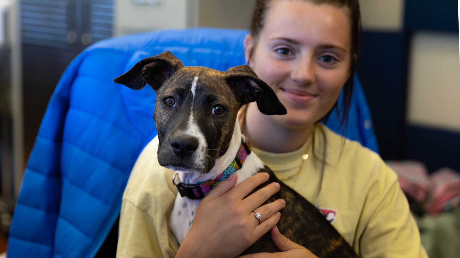 K+ awarded to 13 local animal nonprofits through Remy Fund K+ awarded to 13 local animal nonprofits through Remy Fund
