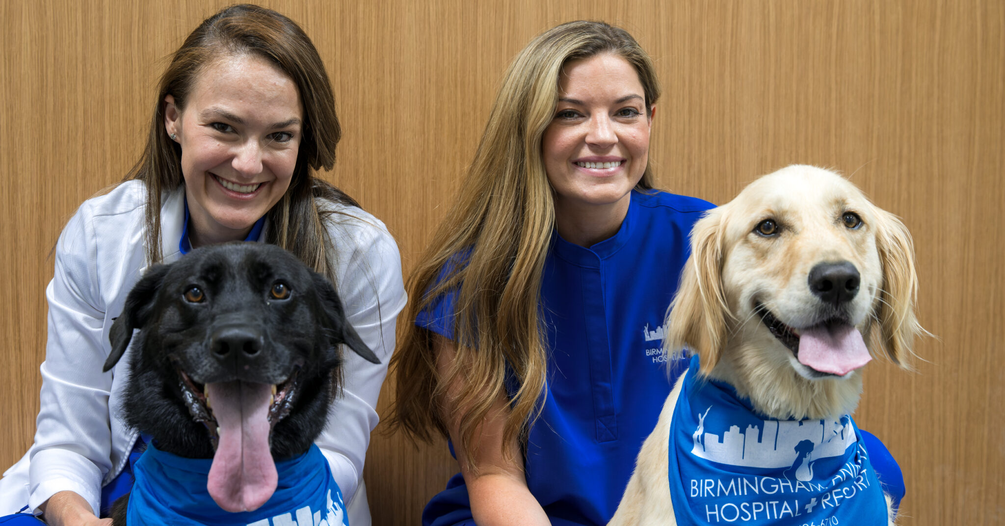 COMING SOON: Birmingham Animal Hospital + Resort is ready to love on your pets—open house on June 25