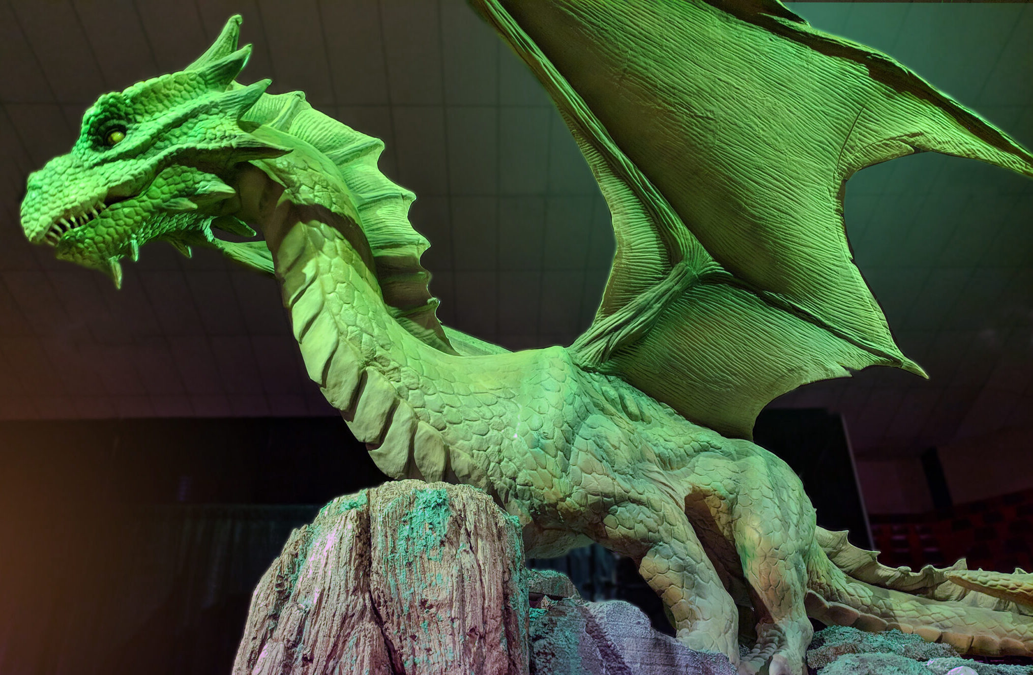NEW EXHIBIT: The Lost World of Dragons opens June 18 at McWane Science Center NEW EXHIBIT: The Lost World of Dragons opens June 18 at McWane Science Center
